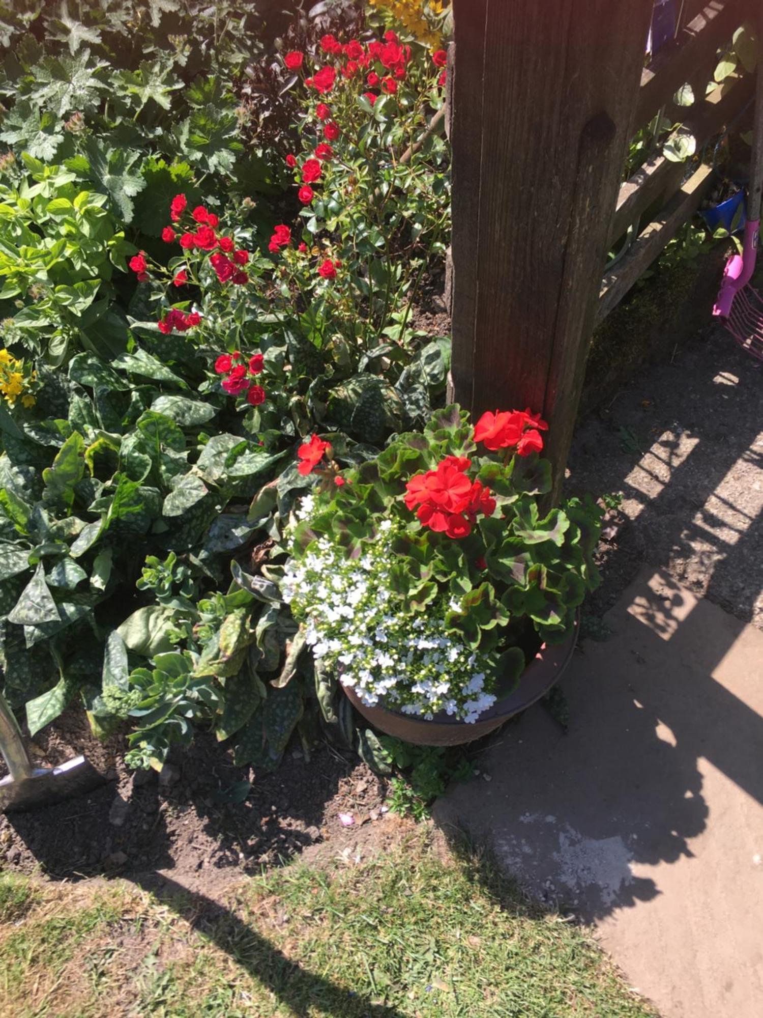 Oscar Park Farm Bed & Breakfast York Ngoại thất bức ảnh